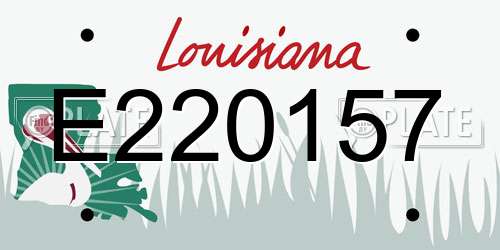 E220157 Louisiana License Plate