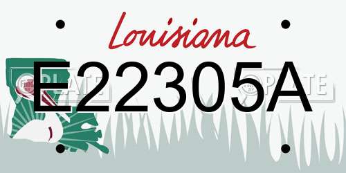 E22305A Louisiana License Plate