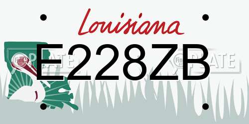 E228ZB Louisiana License Plate