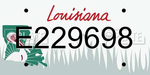 E229698 Louisiana License Plate