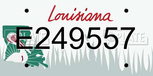 E249557 Louisiana License Plate