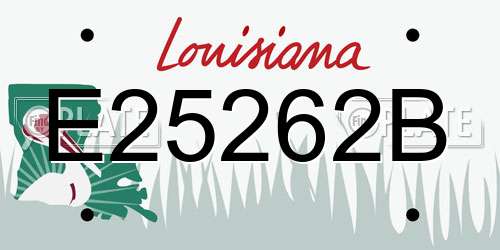 E25262B Louisiana License Plate
