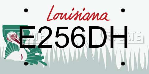 E256DH Louisiana License Plate