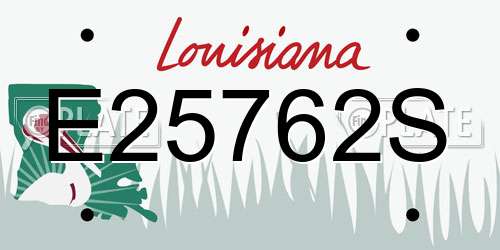 E25762S Louisiana License Plate