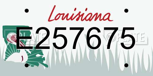 E257675 Louisiana License Plate