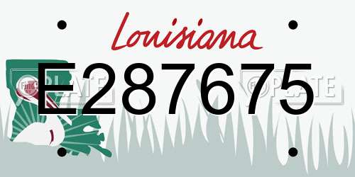 E287675 Louisiana License Plate