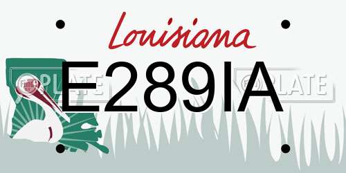E289IA Louisiana License Plate