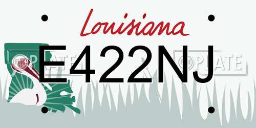 E422NJ Louisiana License Plate
