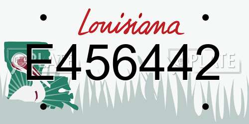 E456442 Louisiana License Plate