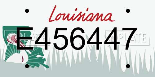 E456447 Louisiana License Plate