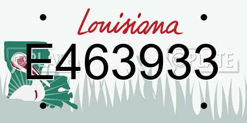E463933 Louisiana License Plate