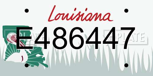 E486447 Louisiana License Plate