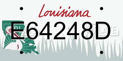 E64248D Louisiana License Plate