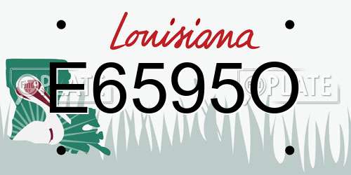 E6595O Louisiana License Plate