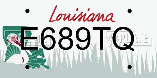 E689TQ Louisiana License Plate