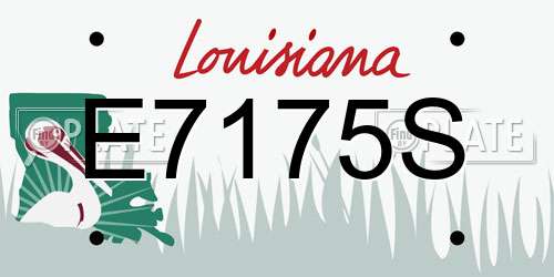 E7175S Louisiana License Plate