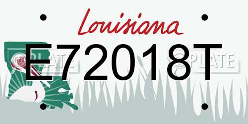 E72018T Louisiana License Plate