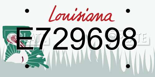 E729698 Louisiana License Plate