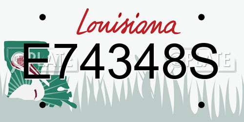 E74348S Louisiana License Plate