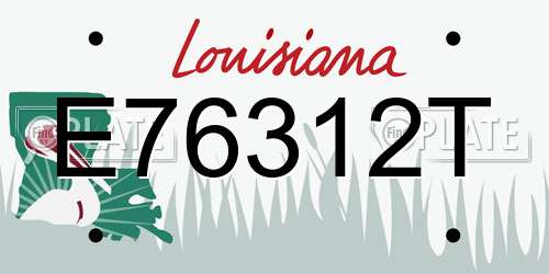 E76312T Louisiana License Plate