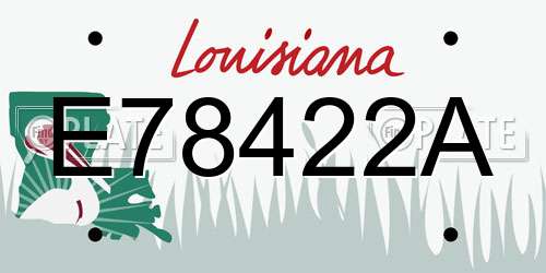 E78422A Louisiana License Plate