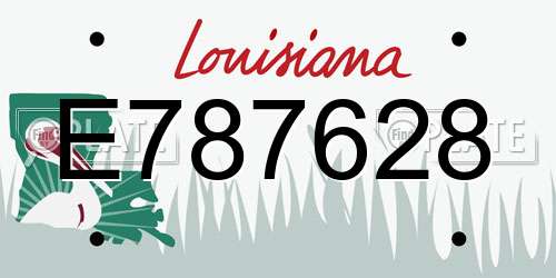 E787628 Louisiana License Plate