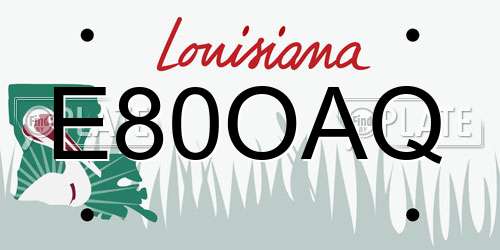 E80OAQ Louisiana License Plate