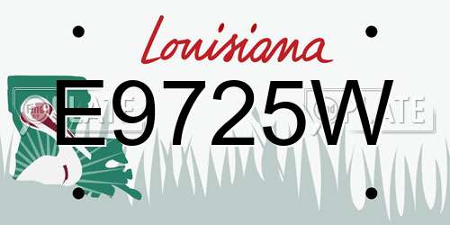 E9725W Louisiana License Plate