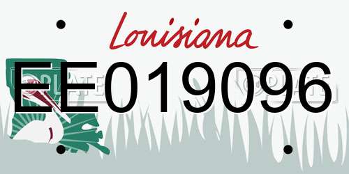 EE019096 Louisiana License Plate