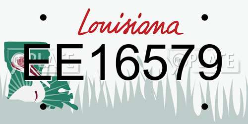 EE16579 Louisiana License Plate