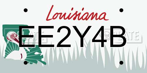 EE2Y4B Louisiana License Plate