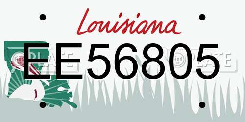 EE56805 Louisiana License Plate