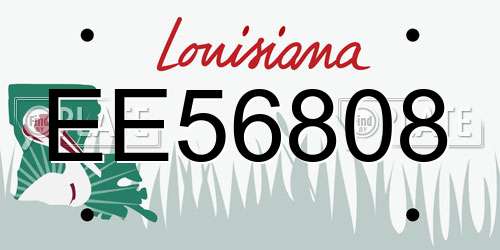 EE56808 Louisiana License Plate