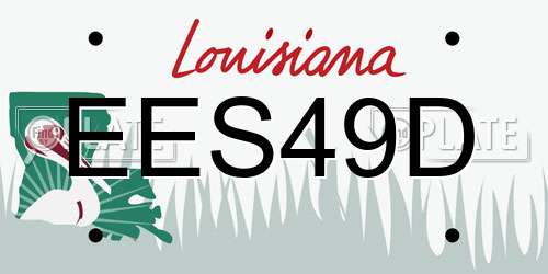 EES49D Louisiana License Plate
