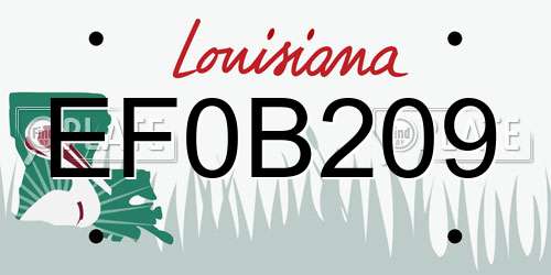 EF0B209 Louisiana License Plate