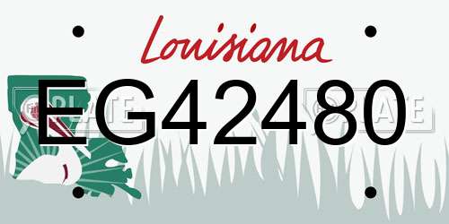EG42480 Louisiana License Plate