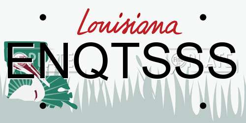 ENQTSSS Louisiana License Plate