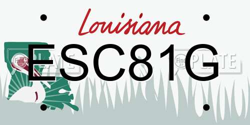 ESC81G Louisiana License Plate
