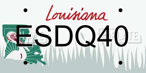 ESDQ40 Louisiana License Plate