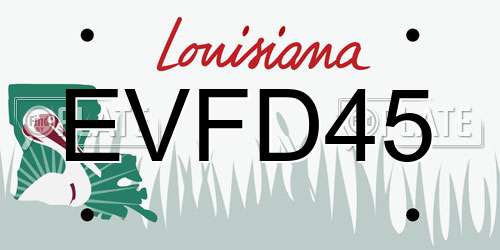 EVFD45 Louisiana License Plate
