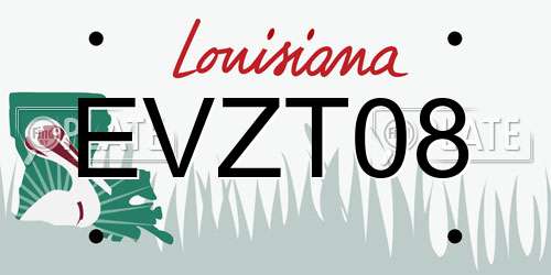 EVZT08 Louisiana License Plate