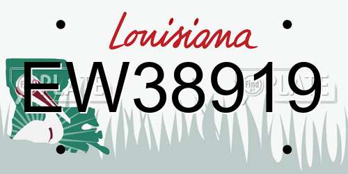 EW38919 Louisiana License Plate