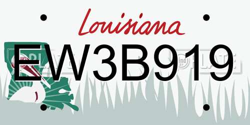EW3B919 Louisiana License Plate