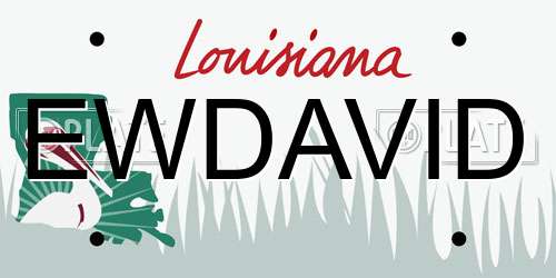 EWDAVID Louisiana License Plate