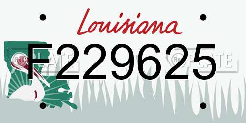 F229625 Louisiana License Plate