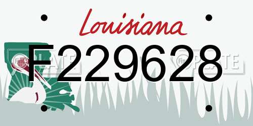 F229628 Louisiana License Plate