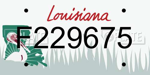 F229675 Louisiana License Plate