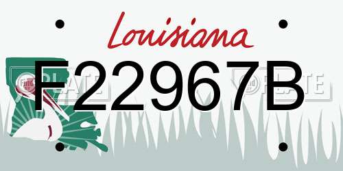 F22967B Louisiana License Plate