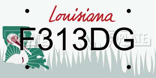 F313DG Louisiana License Plate
