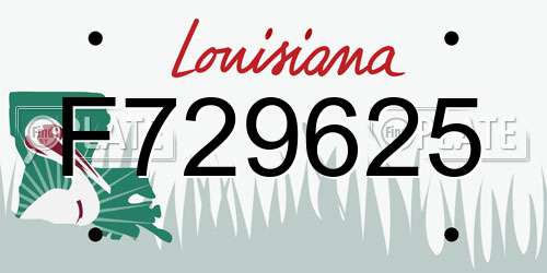 F729625 Louisiana License Plate
